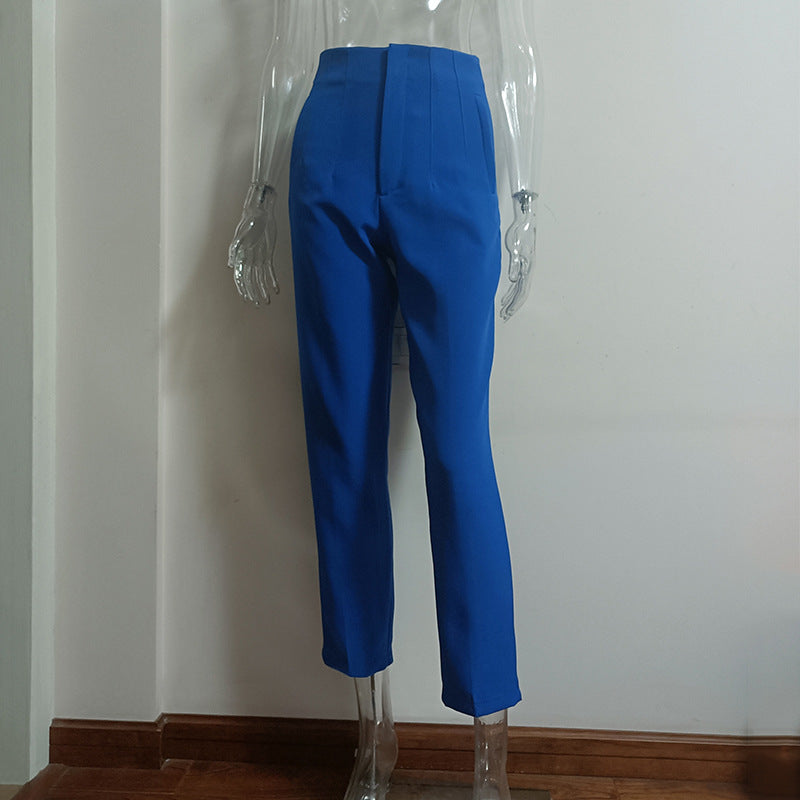 Pleated High Waist Slim-fit Basic Pants with Pocket Detail
